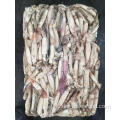 Nuovo arrivo Squid congelato Squid Todarodes Pacificus Squid 60-80G